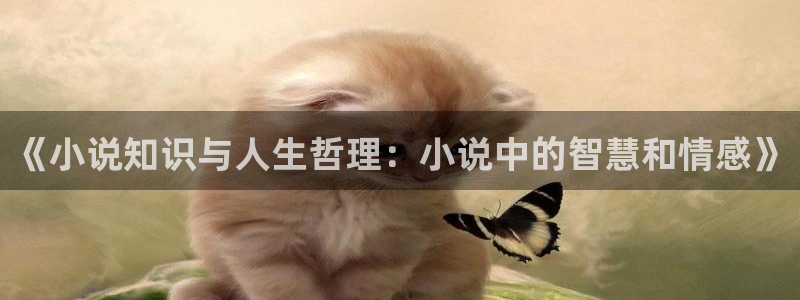 香江王txt下载奇书网：《小说知识与人生哲理：小说中的智慧和情感》