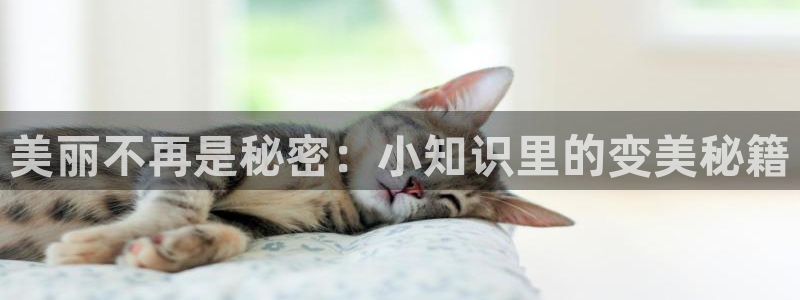 大唐闲人txt下载奇书网：美丽不再是秘密：小知识里的变美秘籍